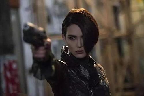 明星网红最火的产品