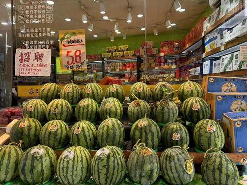 无籽麒麟瓜今日价格,今日无籽麒麟瓜价格行情一览