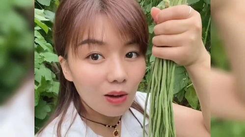 山东菏泽明星网红有谁啊