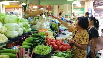 海口瓜菜今日价格,海口瓜菜市场今日价格行情一览