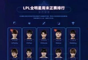 全明星网红聚集地,打造潮流风向标