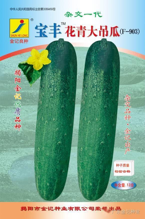 湛江市今日水果吊瓜