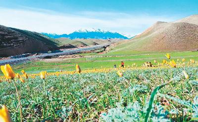 徐明星网红同框图片,跨界合作引热议！”