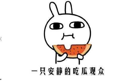 吃瓜网今日吃瓜热门在线观看,吃瓜网揭秘热门事件，在线观看精彩纷呈