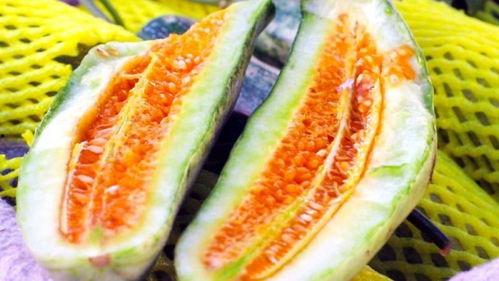 吃瓜网今日吃瓜热门在线观看,吃瓜网揭秘热门事件，在线观看精彩纷呈