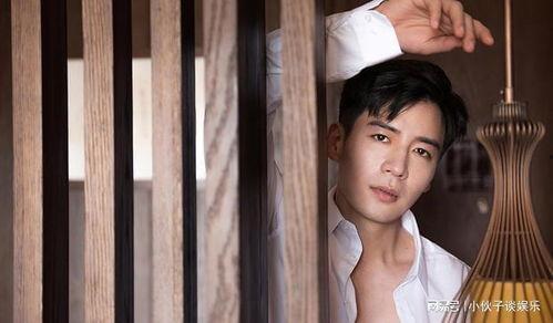 男明星网红老婆生孩子