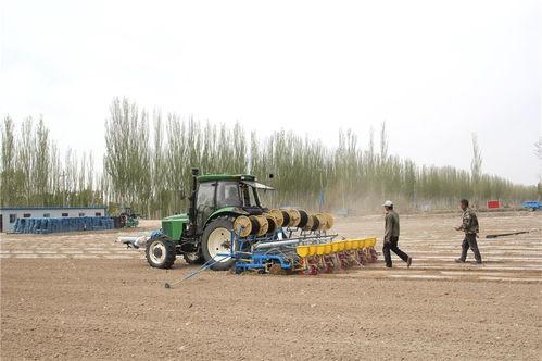 瓜州县今日猪价多少
