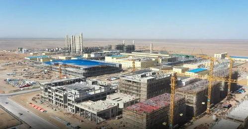 瓜州县今日猪价多少