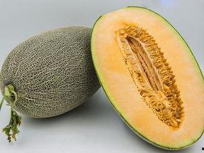 今日伽师瓜价格,瓜香四溢，实惠之选！