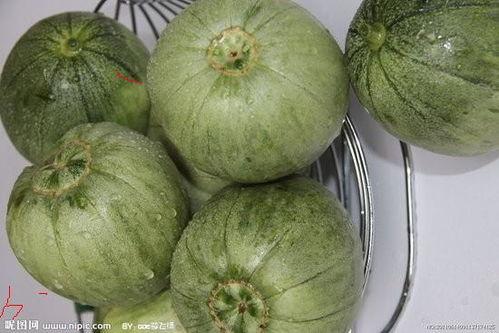 今日伽师瓜价格,瓜香四溢，实惠之选！