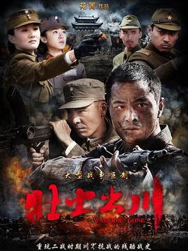 壮士出川电视剧,铁血征程，英雄本色