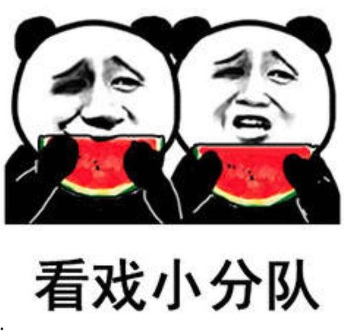 今日吃瓜爆料正能量图片表情包,趣味表情包传递欢乐与温馨