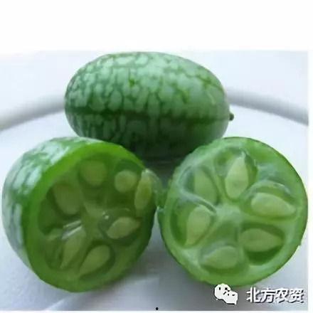 小圆瓜今日价格行情最新,市场行情一览