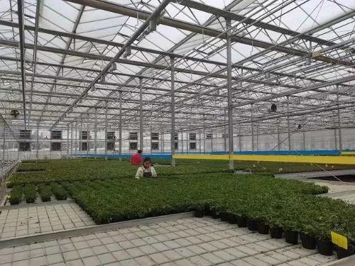 明星网红群体的消费特点,揭秘潮流消费新趋势