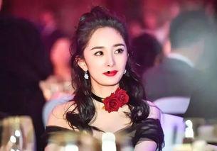 明星网红宴会图片大全集,明星网红宴会图片大全集赏析