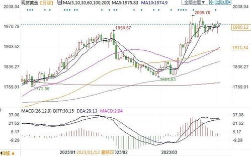 酥瓜今日价位行情走势图,今日走势解析，价格波动背后的市场动态