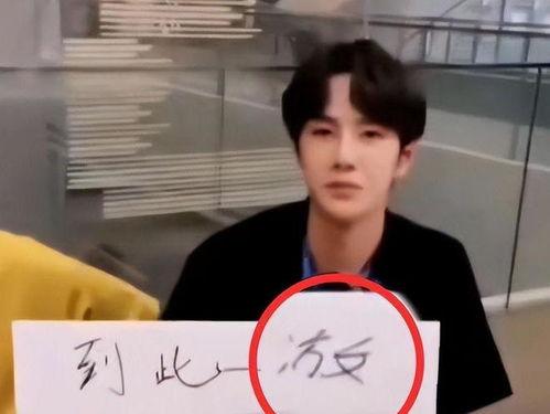 明星网红文盲有哪些名字,他们背后的故事与争议