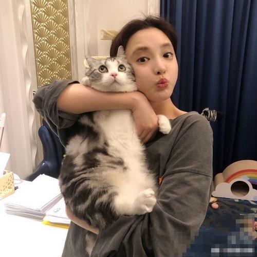 小虎子哪些明星网红在用,明星网红纷纷追捧的生成利器！”