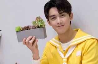 小虎子哪些明星网红在用,明星网红纷纷追捧的生成利器！”