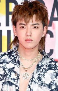 小虎子哪些明星网红在用,明星网红纷纷追捧的生成利器！”