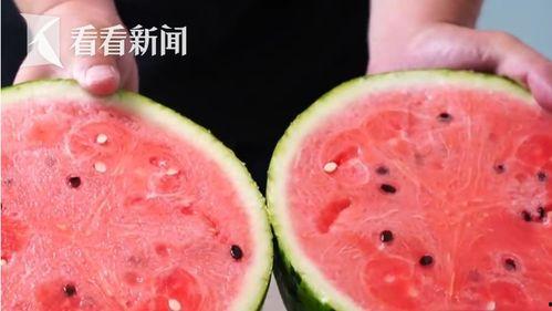 今日王瓜价格多少钱一斤,探秘市场行情，一斤多少钱？