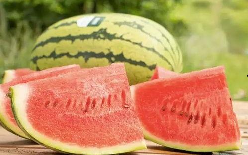 今日沙漠瓜价行情,瓜果飘香，价格波动解析