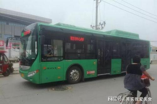 明星网红体验郑州地铁公交,明星网红亲身体验郑州出行新风尚