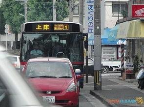 明星网红体验郑州地铁公交,明星网红亲身体验郑州出行新风尚