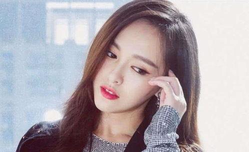 为什么明星网红来茂名,明星网红打卡新宠，魅力之城焕新颜