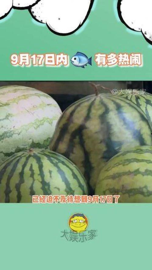 内娱今日大瓜,今日大瓜揭秘，内娱风云再起