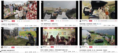 开封今日头条卖瓜事件视频,一场网络直播的诚信考验