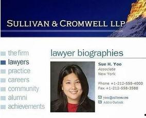 企业明星网红有哪些名字,网络红人风采展示