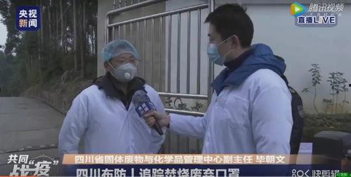 四川今日吃瓜新闻直播视频,直播视频揭秘热门事件幕后真相