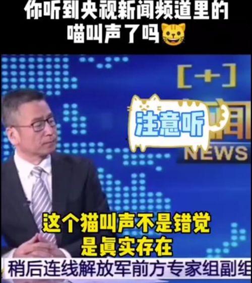 四川今日吃瓜新闻直播视频,直播视频揭秘热门事件幕后真相