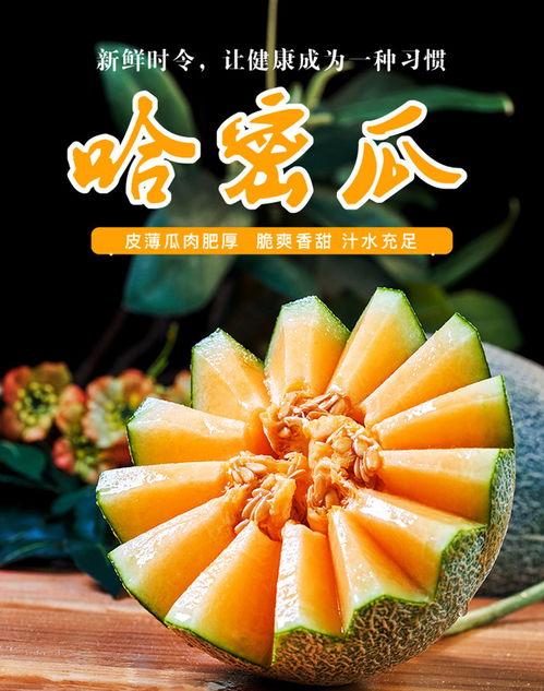 营口网纹瓜今日批发价格,品质佳价优引关注”