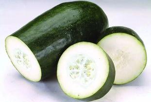 营口网纹瓜今日批发价格,品质佳价优引关注”