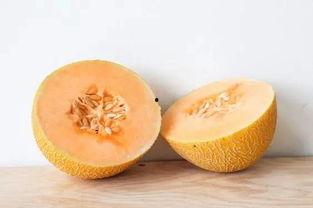 今日水果哈密瓜