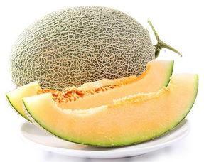 今日水果哈密瓜
