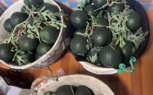 上海今日大瓜,揭秘娱乐圈最新热点事件