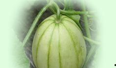 上海今日大瓜,揭秘娱乐圈最新热点事件