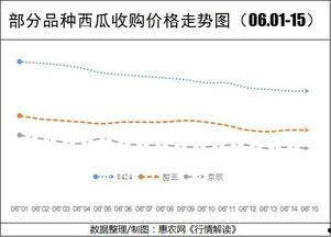 今日小井瓜价格行情走势,今日行情走势解析