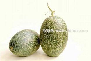 今日哈密瓜行情实时报价,今日价格波动解析