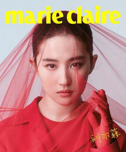 一线流量明星网红,闪耀娱乐圈的璀璨星辰