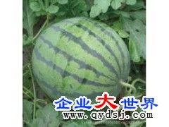 今日的热门瓜,揭秘娱乐圈最新动态，带你领略热点风云