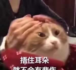 明星网红偷税漏税反思,从明星网红偷税漏税看娱乐圈税务规范与道德重建