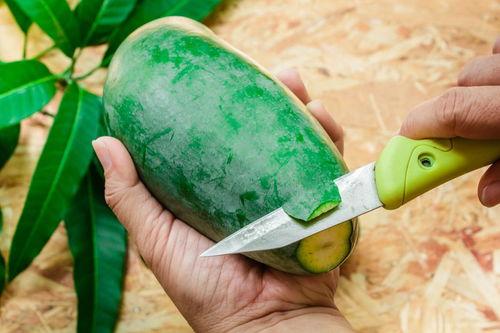 岳阳今日西瓜收瓜价,价格行情一览