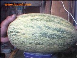 今日的海南哈密瓜价格,夏日甜蜜新宠来袭