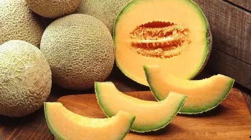 今日瓜州蜜瓜价格,价格行情一览