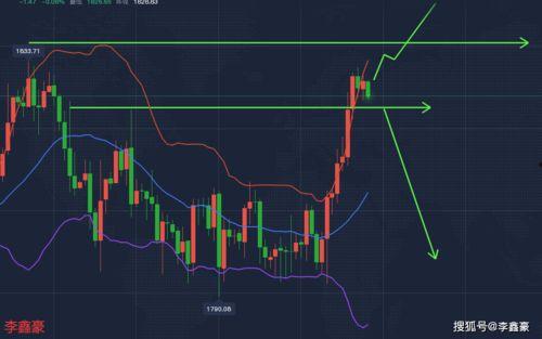 乳瓜今日行情价格走势分析,今日价格走势深度剖析