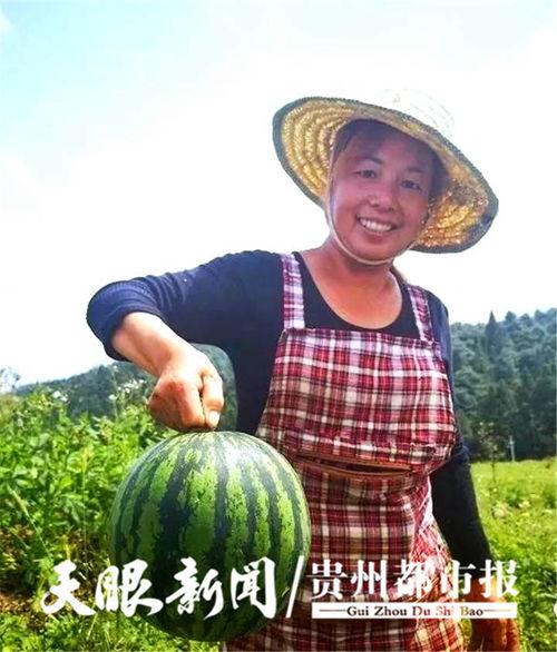 今日贵阳吃瓜最新消息,揭秘网红美食背后的故事